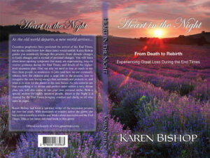 Book Cover, Heart in the Night